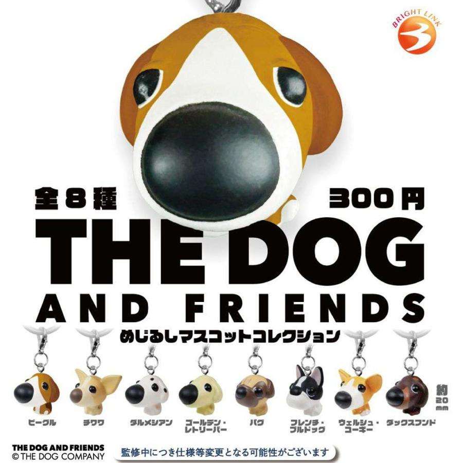 THE DOGを語りたい！