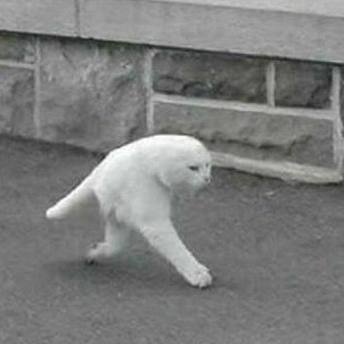 Googleマップに写ってた面白い物