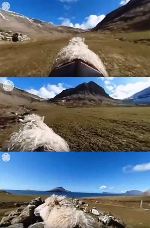 Googleマップに写ってた面白い物