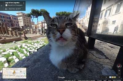 Googleマップに写ってた面白い物