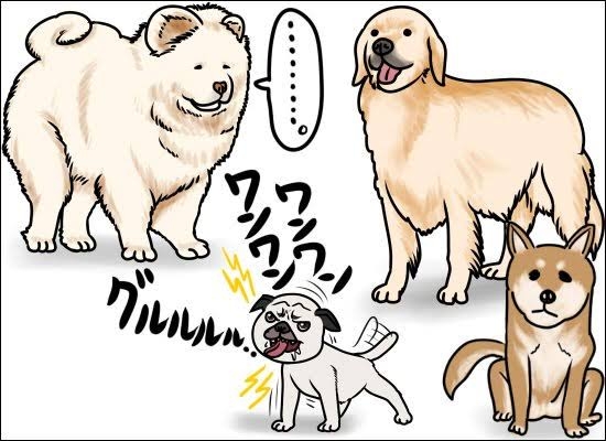 モラハラ男が避けそうな女性の特徴