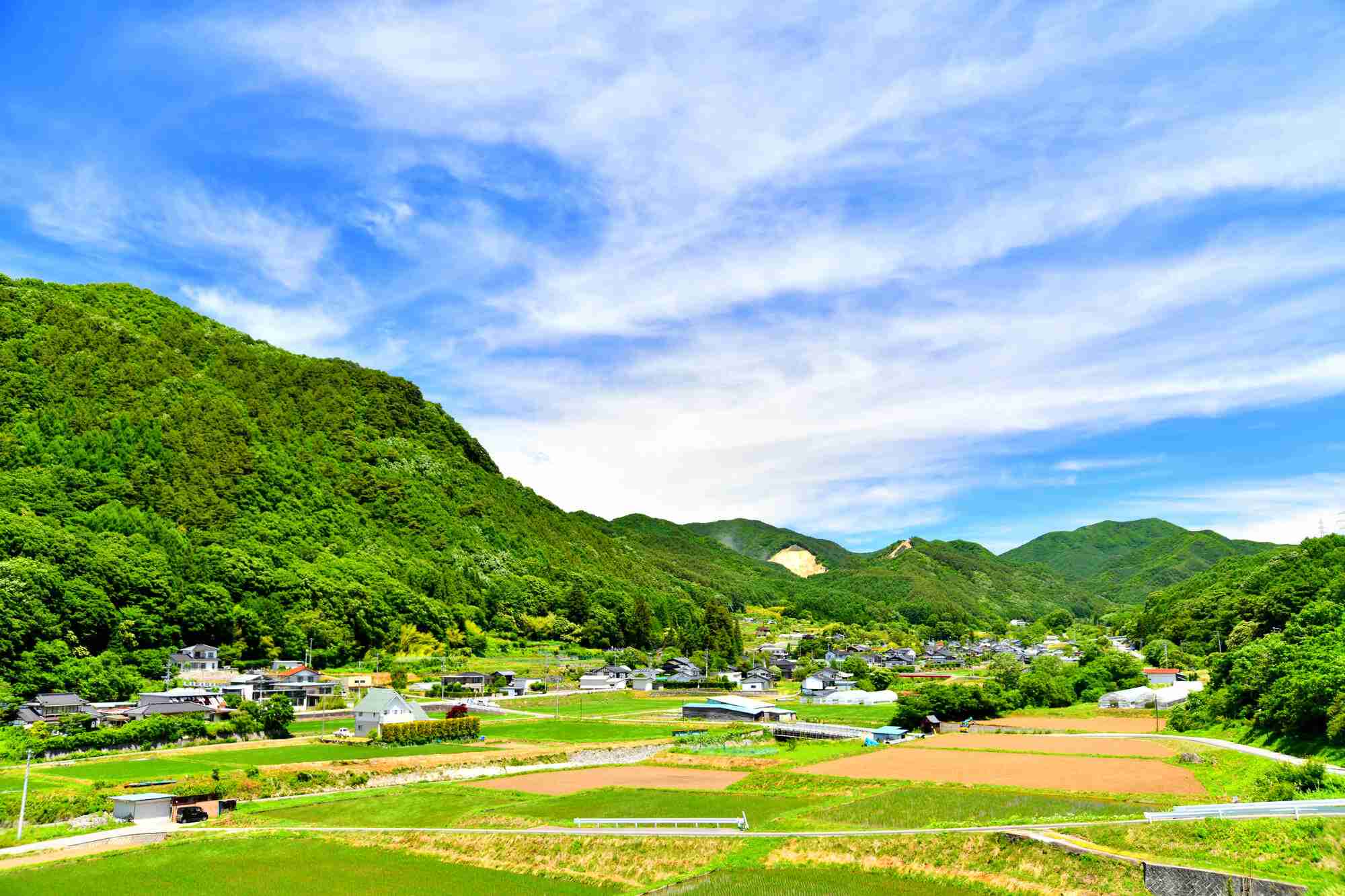 田舎が東京に勝っているところ