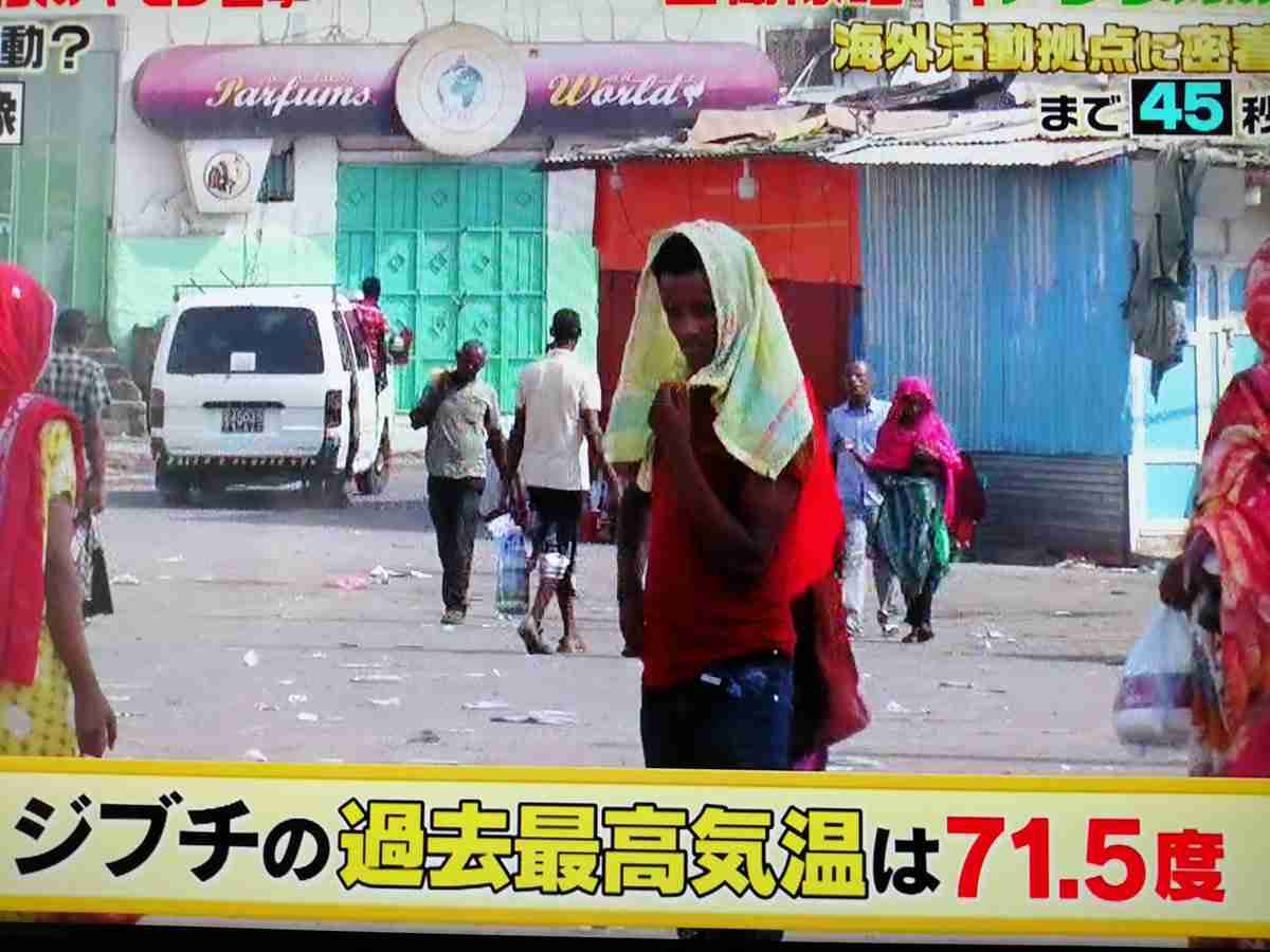 【夏】30年後、夏の気温は何℃になってると思う?