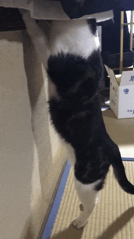 顔がニヤける瞬間(⸝⸝◜𖥦◝⸝⸝)