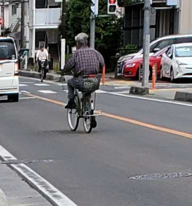 自転車のルールがしんどい…小学生は後ろに乗せちゃダメ? 専門家が“注意点と危険性”を詳しく解説