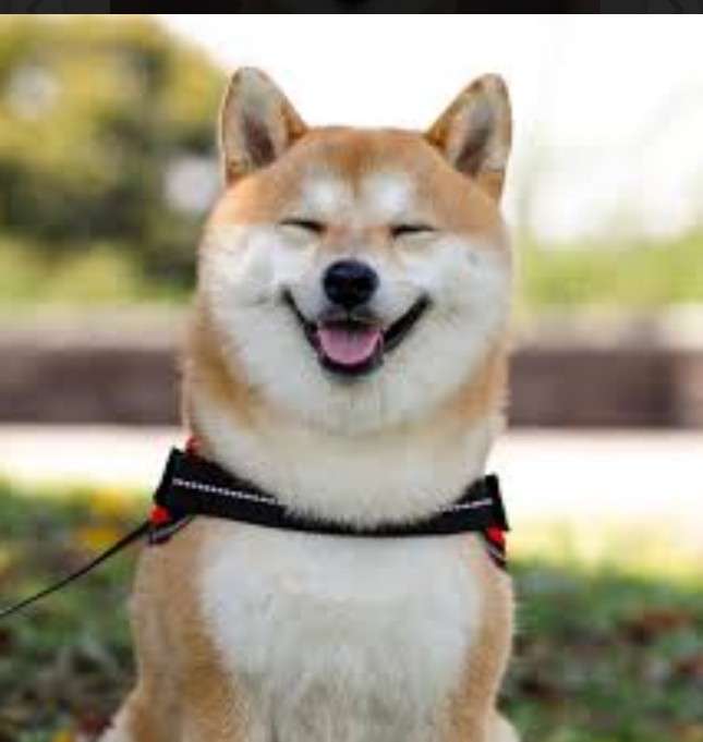 守りたいこの笑顔