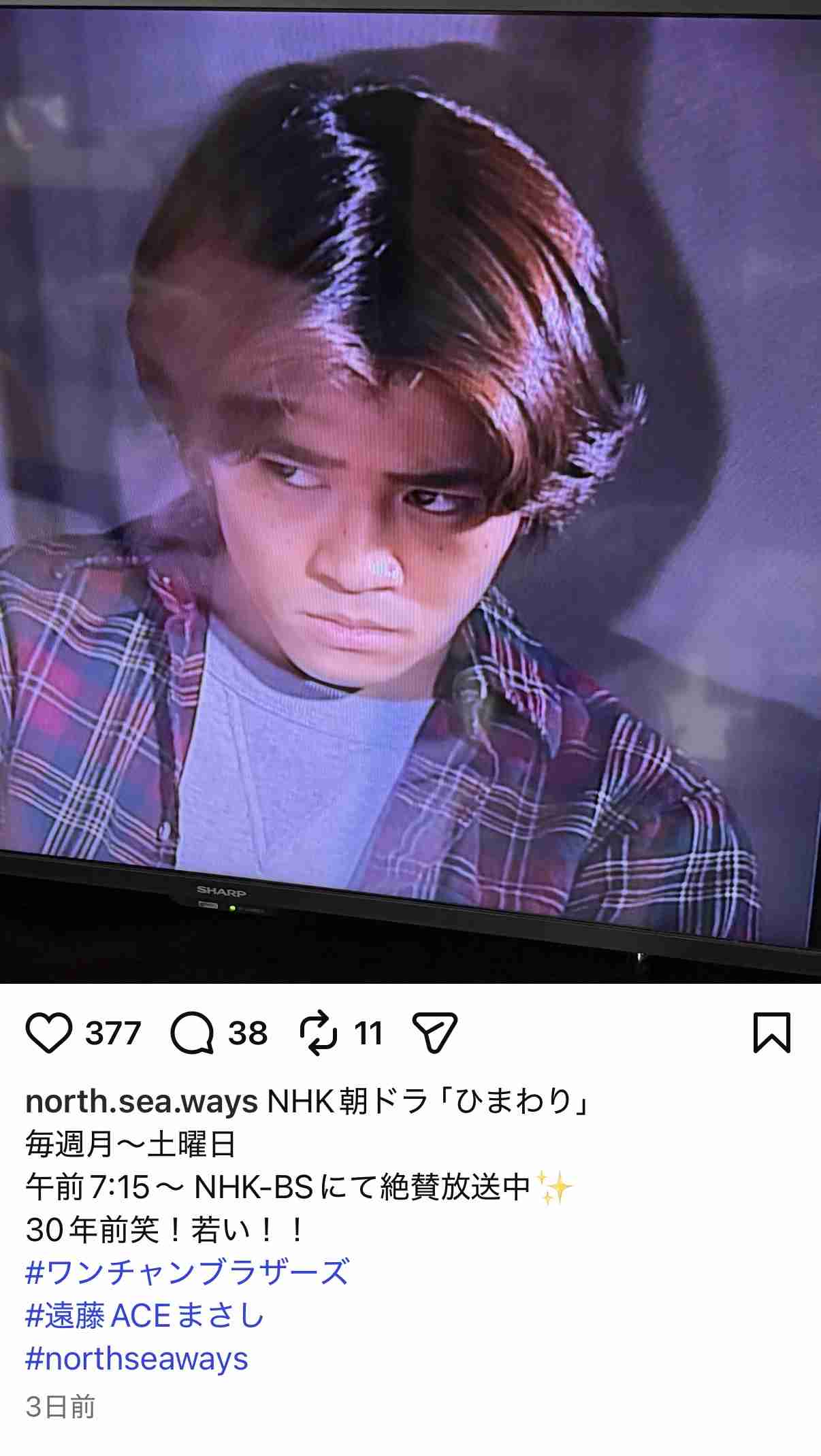 【朝ドラ】ひまわり再放送見てる方🌻 Part2