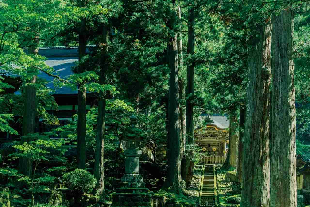 福井県のおすすめ