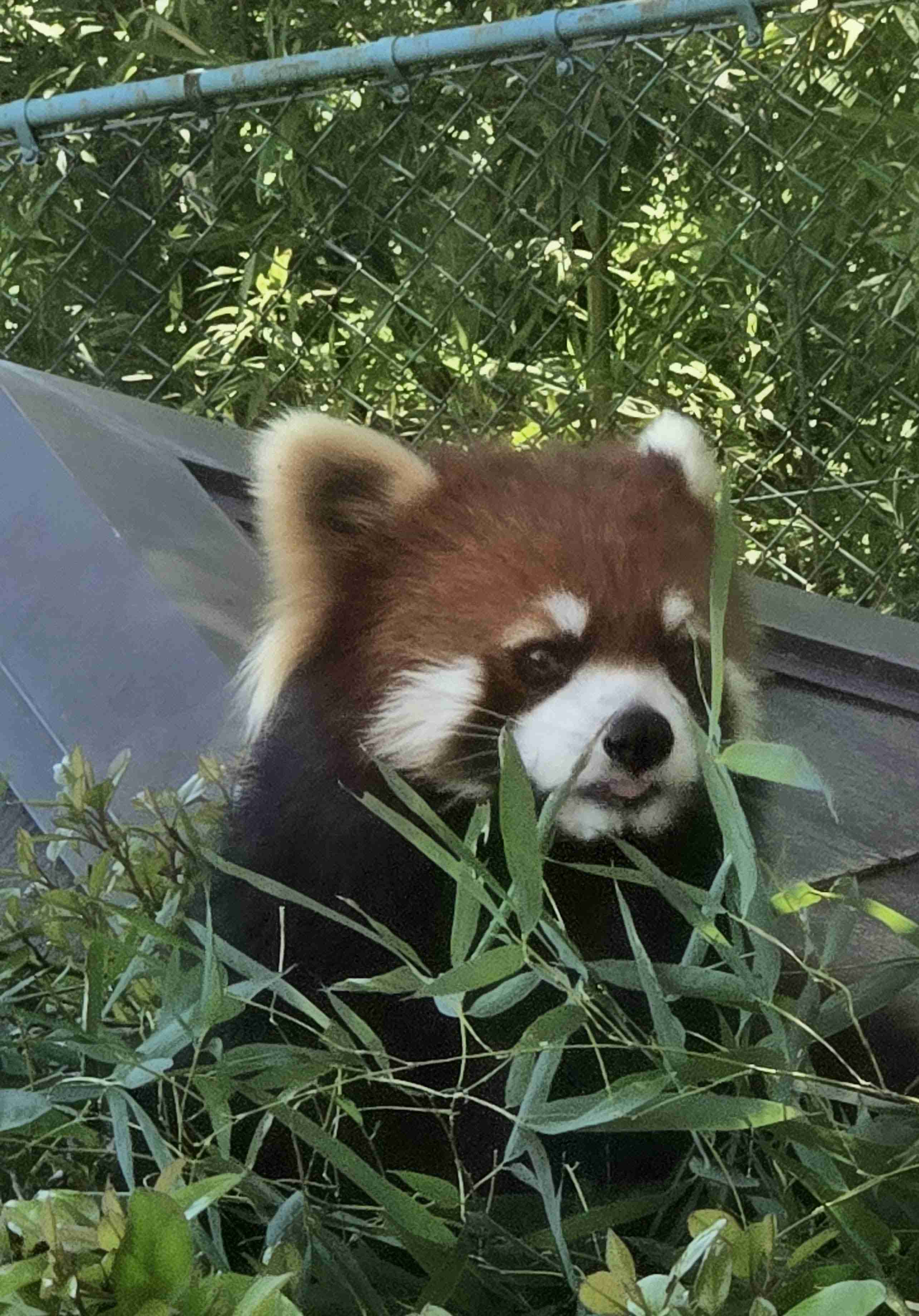 福井県のおすすめ