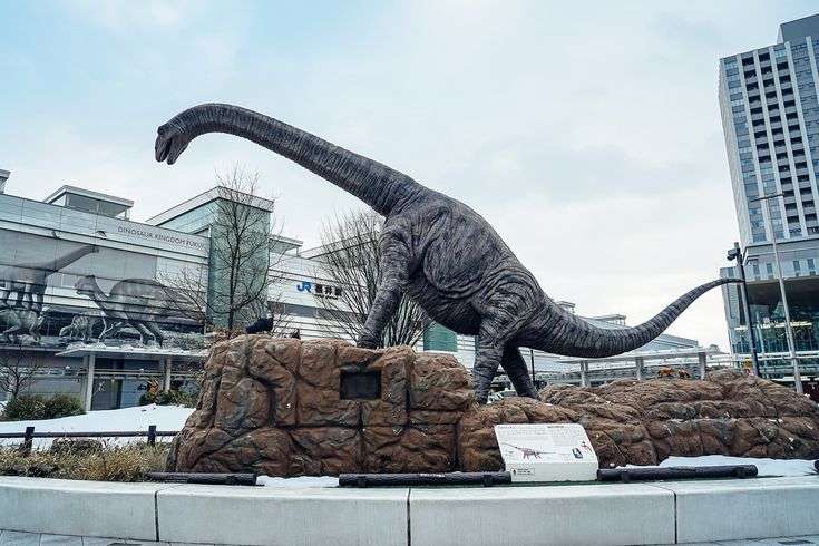 福井県のおすすめ