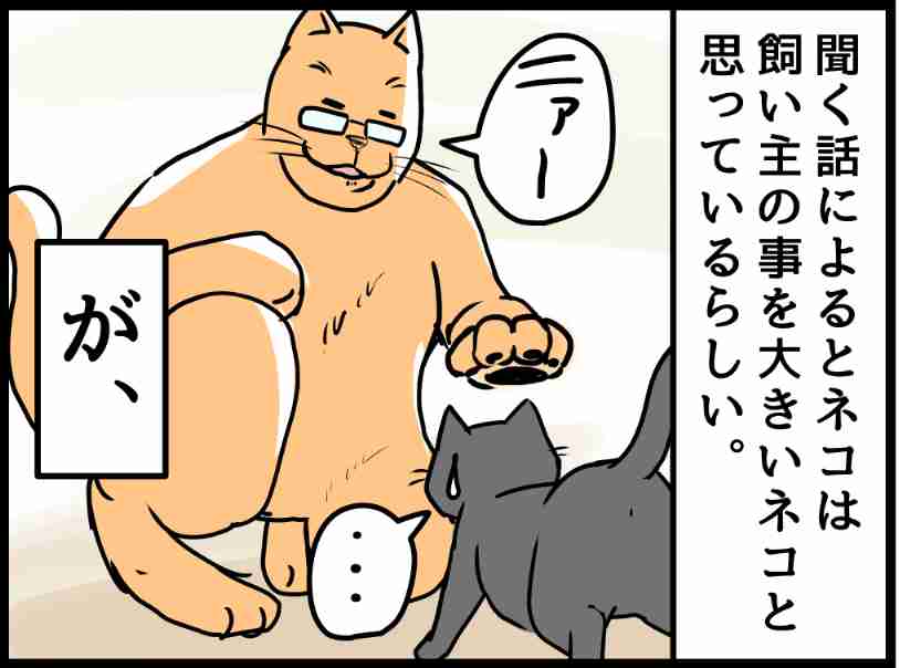 ペットは自分のことを人間だと思っているのか