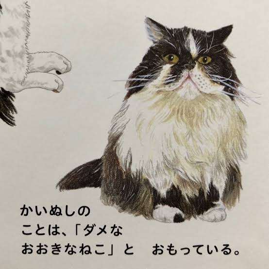 ペットは自分のことを人間だと思っているのか