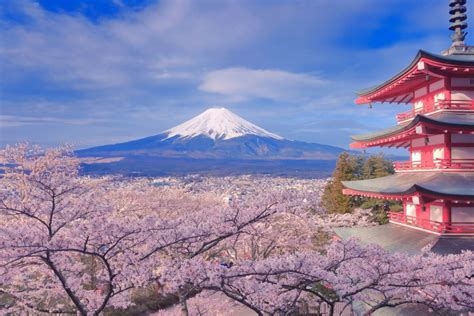 ｢日本円の紙くず化｣へのカウントダウンが始まった…高市首相が狙う｢借金1342兆円を帳消しにする｣禁断の処方箋