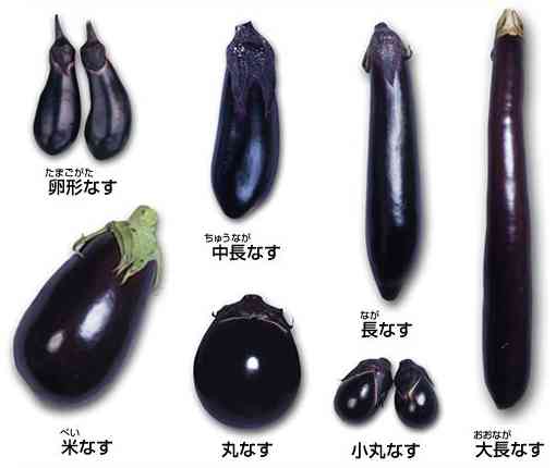 ボーナスがない家庭のやりくり