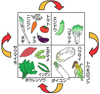 🍆食用植物を育てる🍅ガルちゃん家庭菜園部🥕　【野菜・果物・ハーブ】