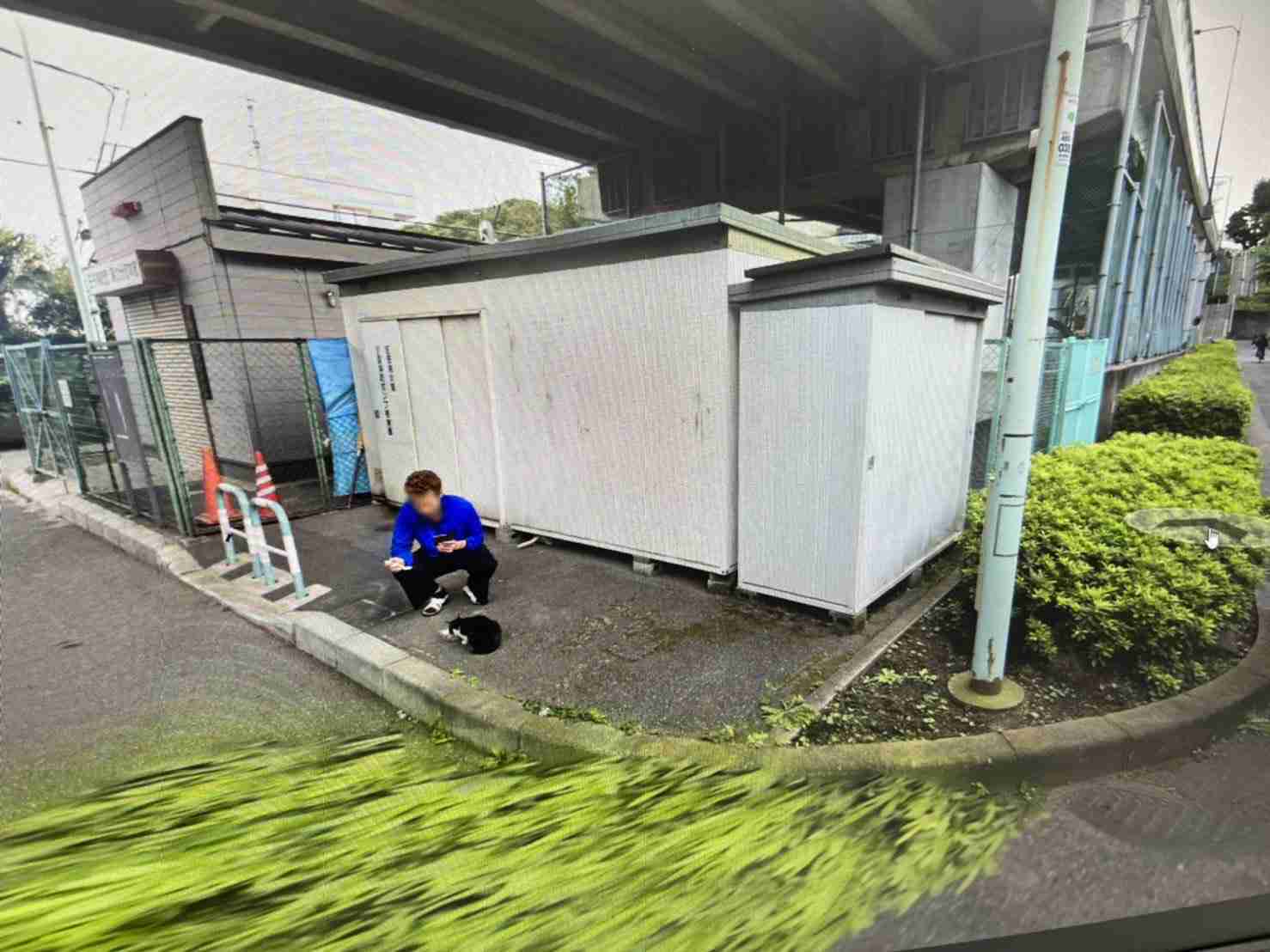 不良が猫を拾うと好感度が上がるのはなぜ？
