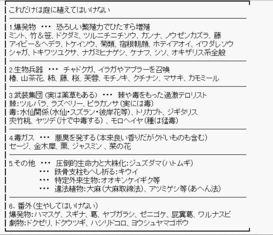 ミントを植えたい。