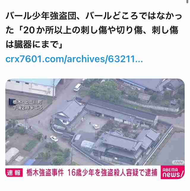 【速報】栃木・上三川町の強盗殺人、新たに16歳の少年1人逮捕　4人目の逮捕者