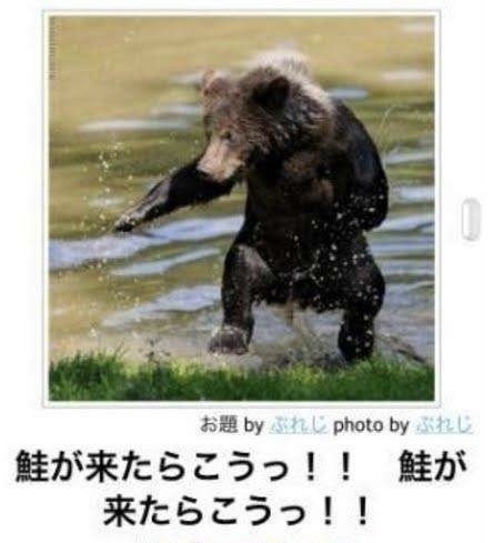 魚、食べてますか?