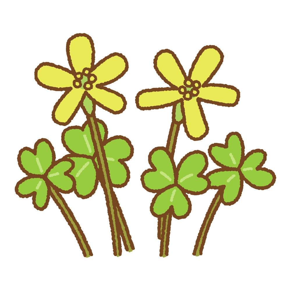 自分を花に例えるとしたら