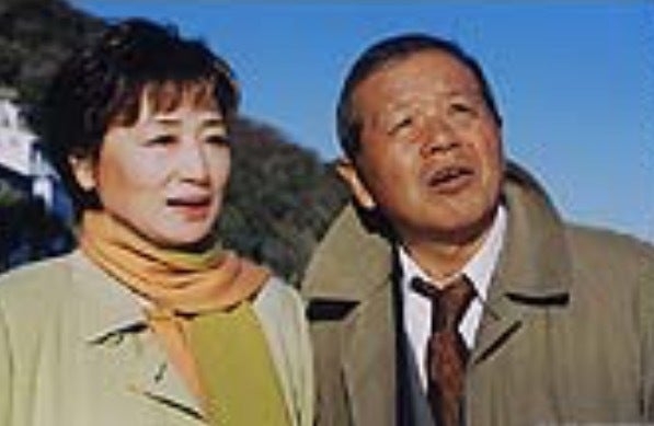 2時間サスペンスドラマで好きな女優