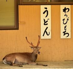 【ぼんやーり】ゆる〜く会話するトピ【それなり】