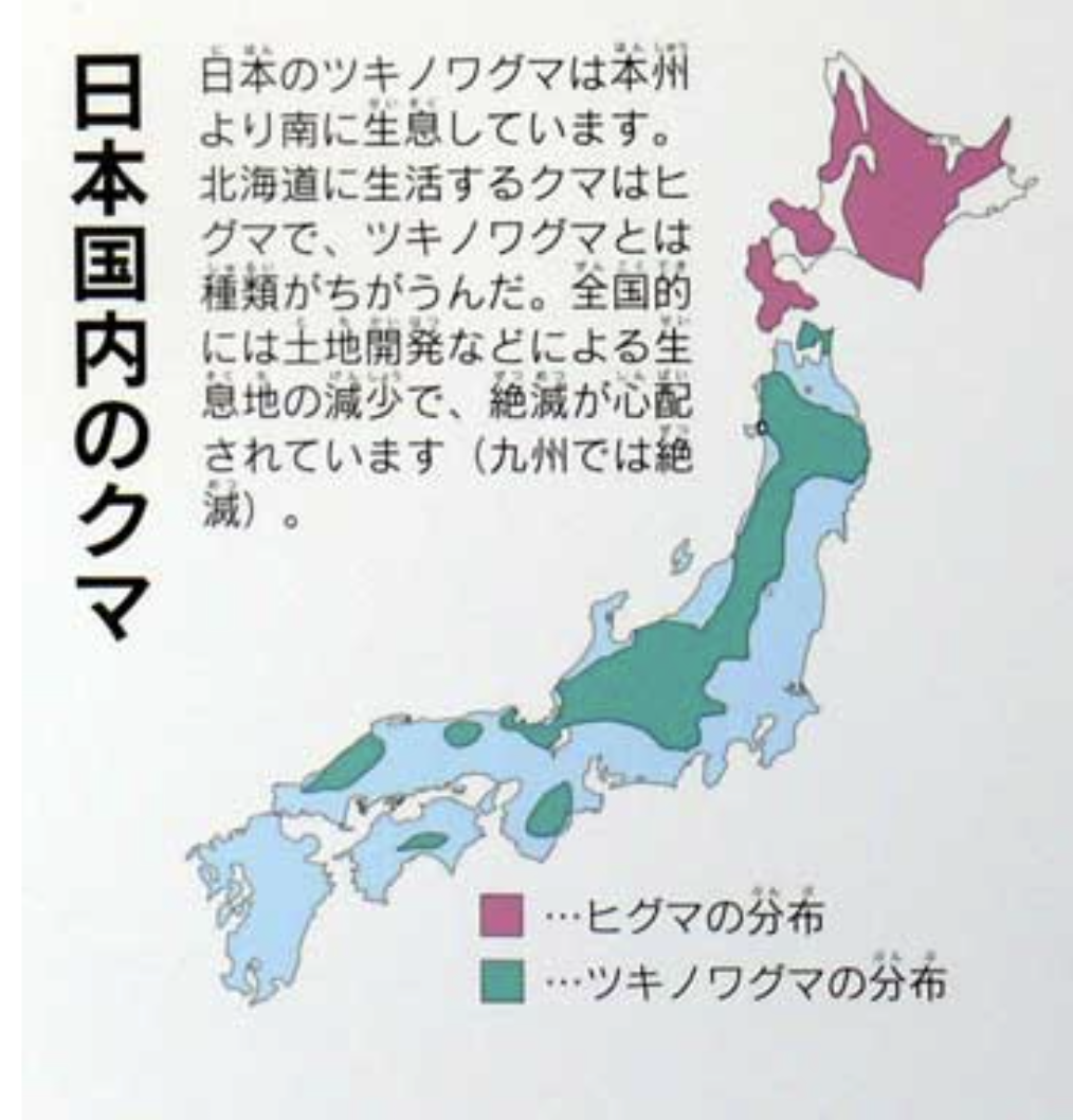 青森市中心街のホテルなど入る複合商業ビル周辺に1頭のクマ出没確認　ビル内にたてこもりか　1階の薬局には10人以上の利用者が…　午後6時過ぎに駆除　約300m離れた駐車場でもクマ目撃