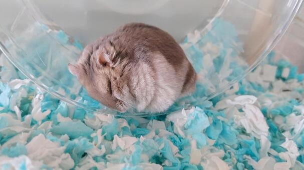 1日にいくつも用事を入れるのが苦手
