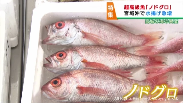 言うほど美味しいか？と思う食べ物、飲み物