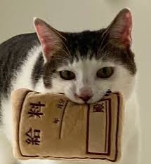 お給料で仕事選んでやっぱり無理って思ったことありますか?