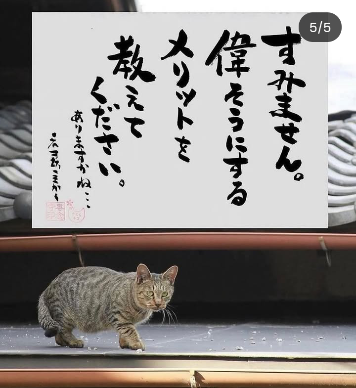 それってかっこいいと思ってやってんの？って真面目に思うこと