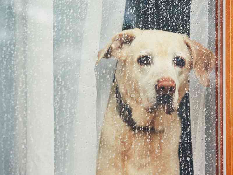 今の自分の気持ちを表してる画像を貼るトピ