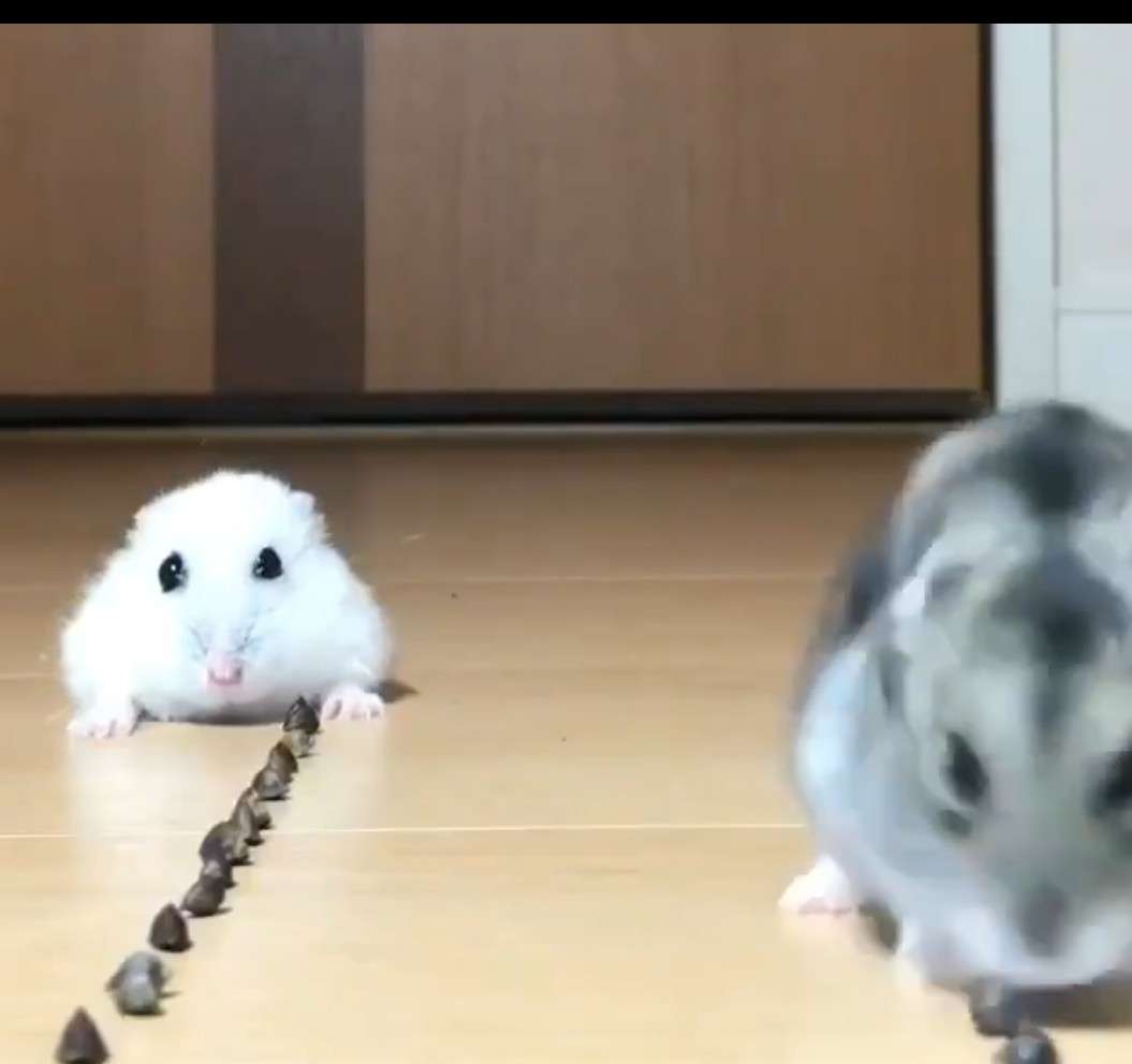 今の自分の気持ちを表してる画像を貼るトピ