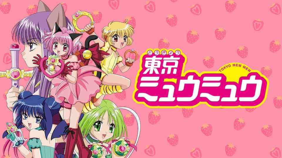 マイナーなアニメを挙げたら、見たことある人がコメントくれるトピ Part9