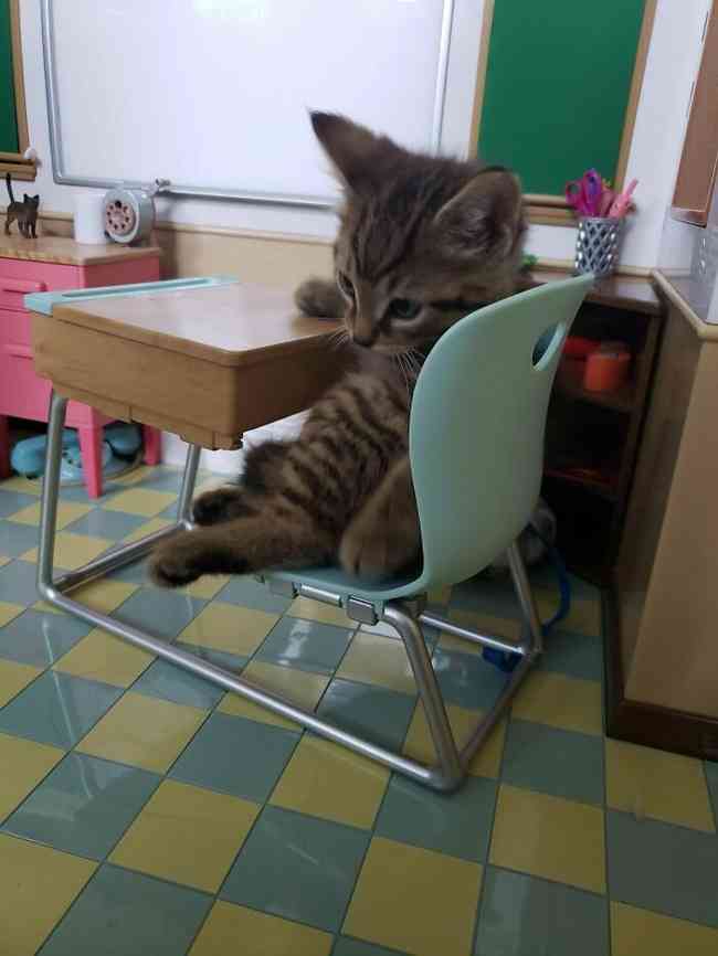 学習机の置き場所