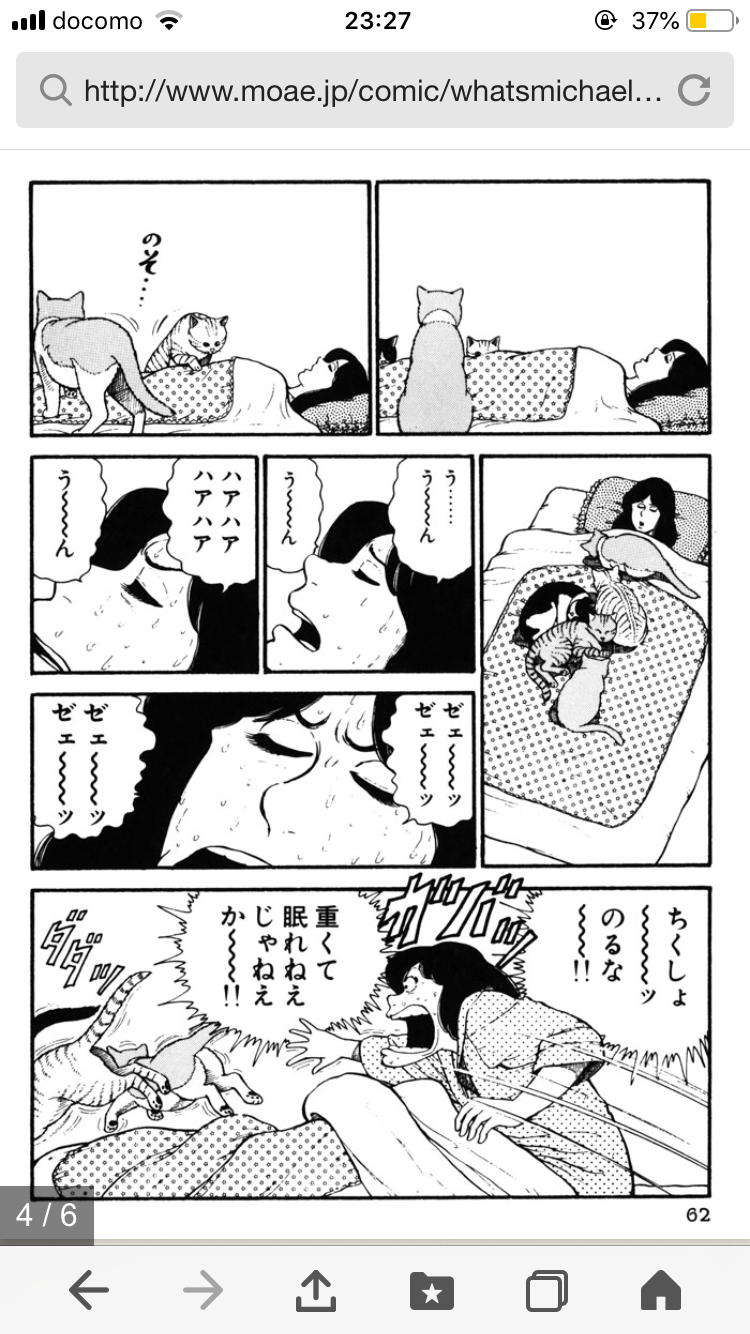 猫がずっとくっついてきて暑すぎる...