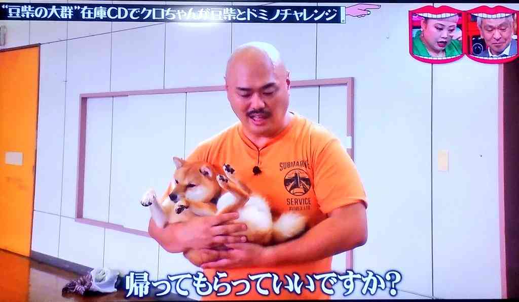 水曜日のダウンタウンで印象に残ってるシーン