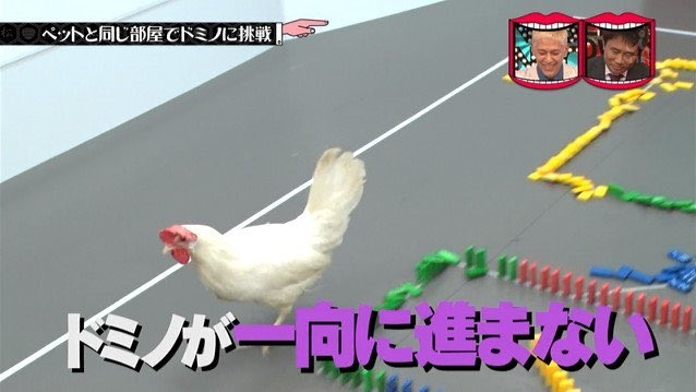 水曜日のダウンタウンで印象に残ってるシーン