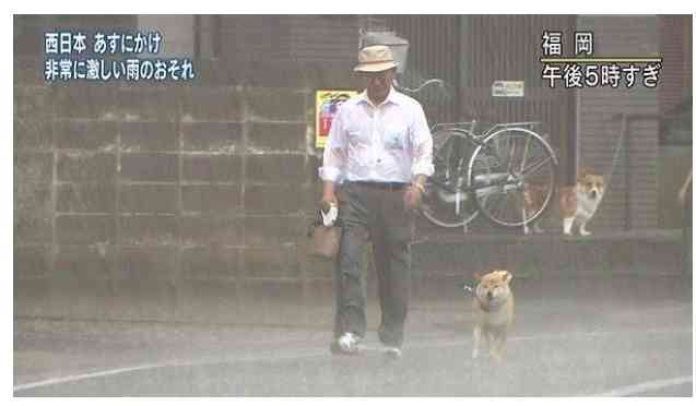 【雨の日】さらにポンコツになる人