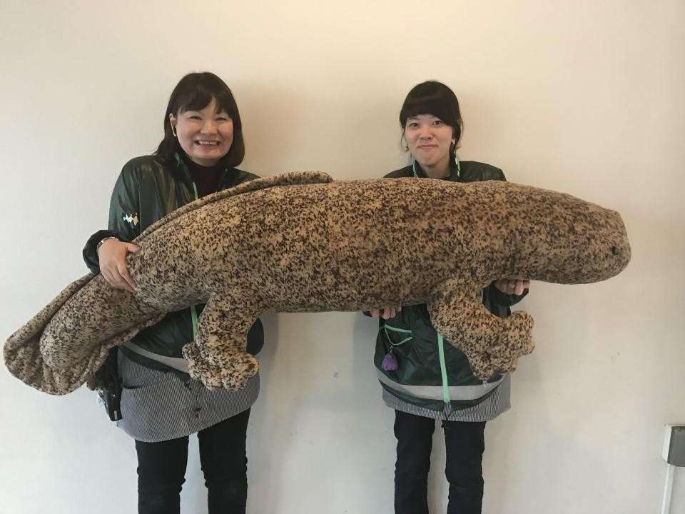 特大のぬいぐるみが見たい