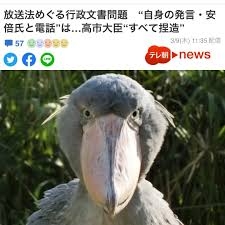 ショートヘアの人