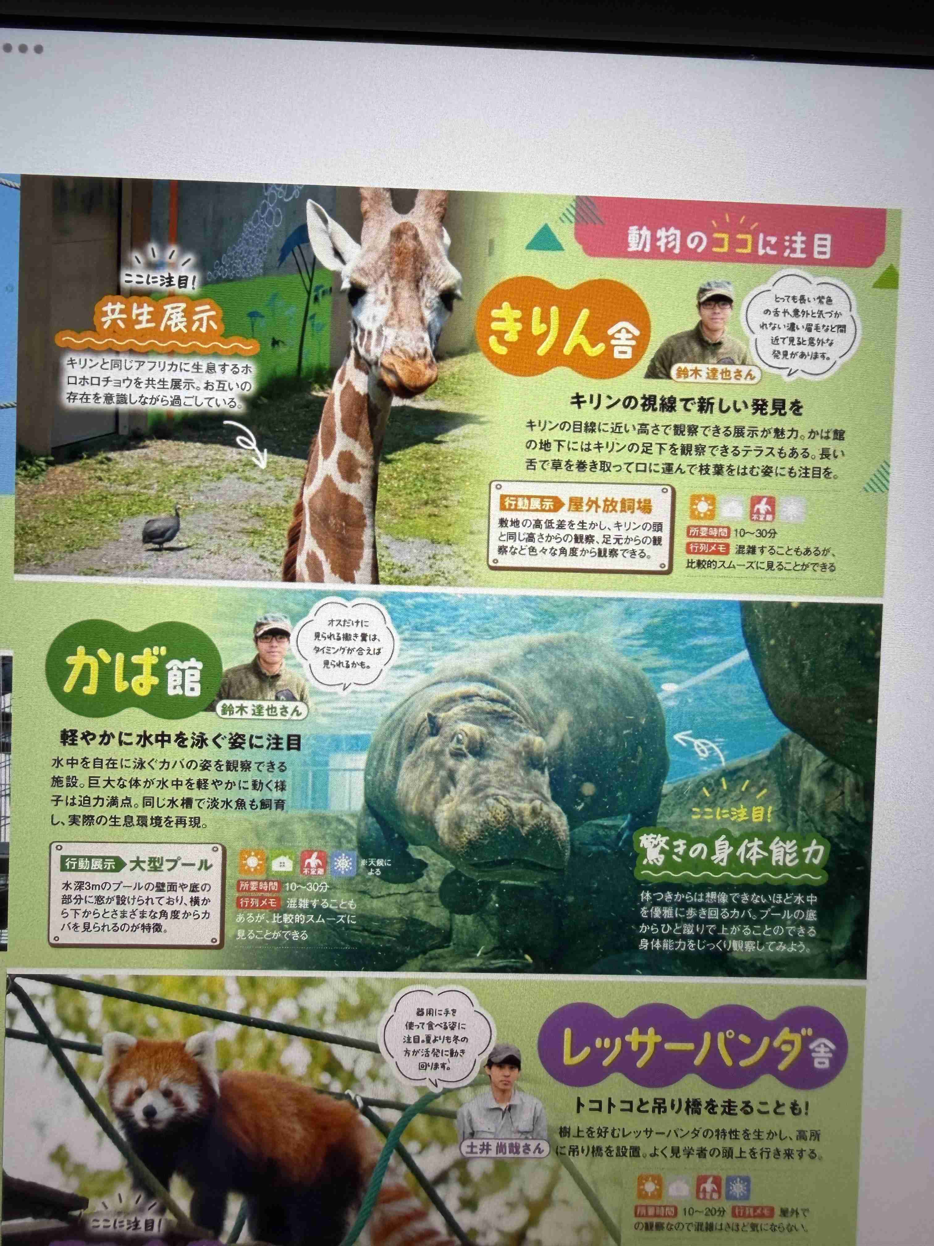 旭山動物園の来園者数　4日間で3万人超　GW期間中で前年を上回る見込み　事件うけ風評被害の懸念も