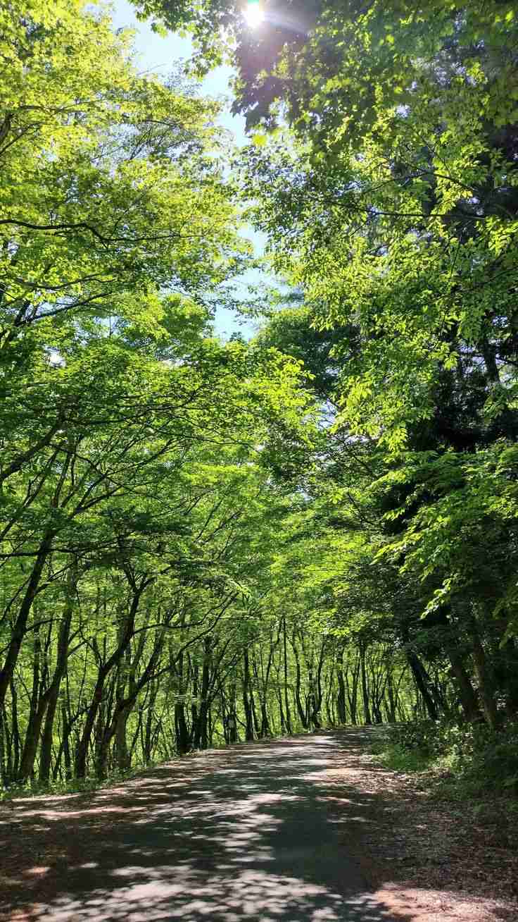 病気による休職・退職