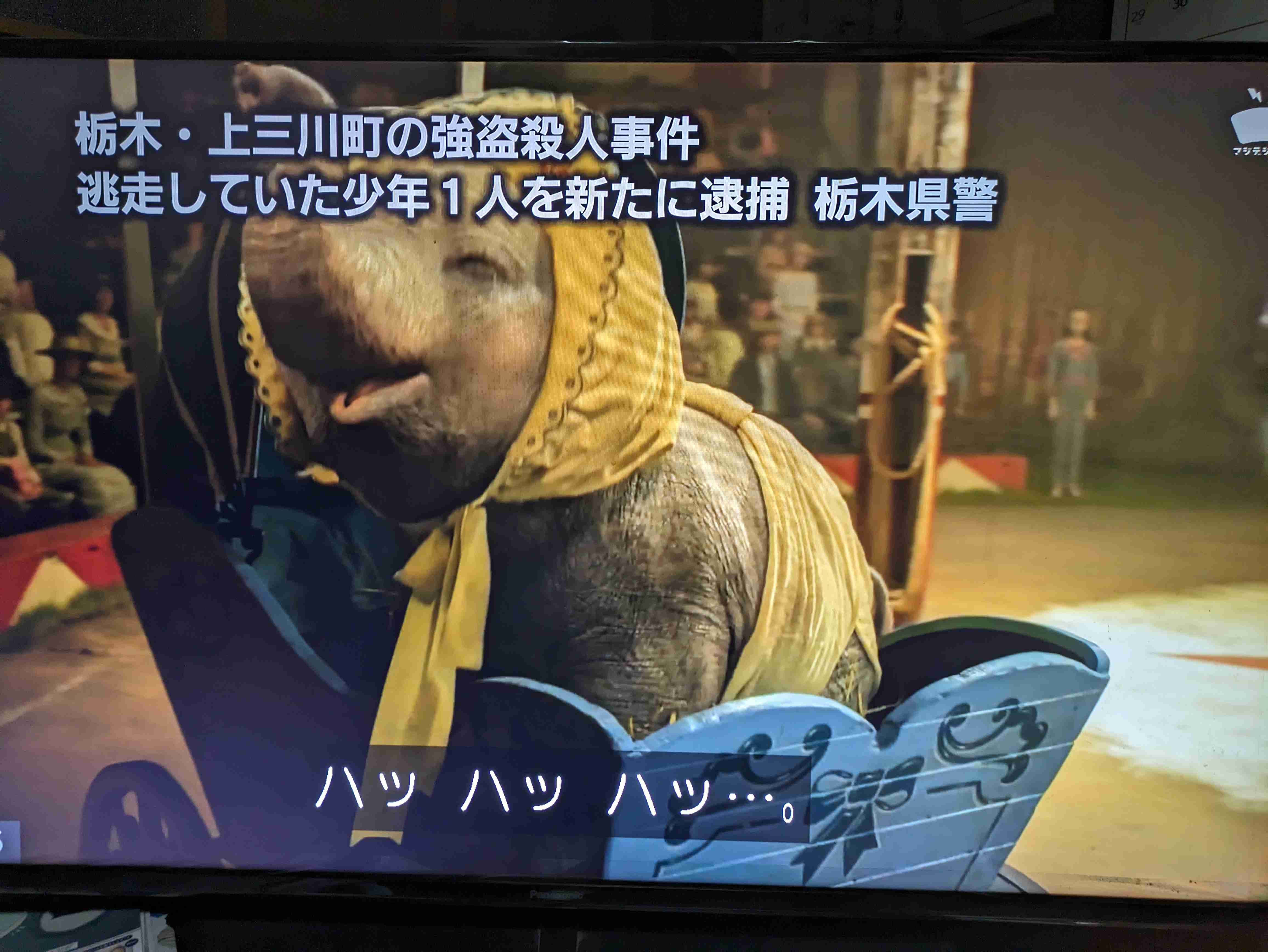 【実況・感想】金曜ロードショー「ダンボ」★本編ノーカット・地上波初放送★