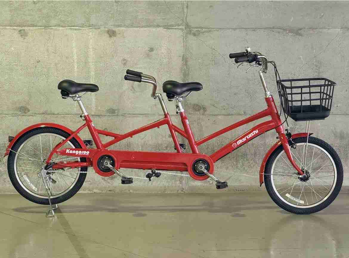 どうすれば小学生を親の自転車に乗せられる？　 中道・泉健太衆院議員のポストに共感の声