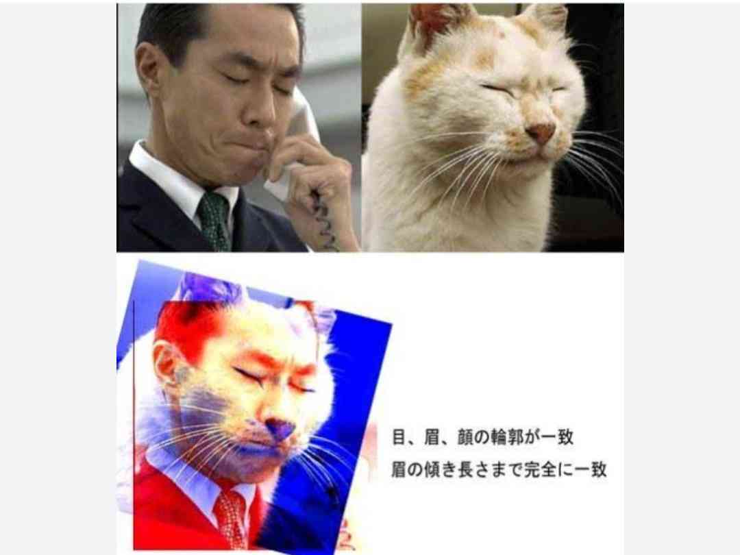 ちょっとだけクスッとしたい【画像】