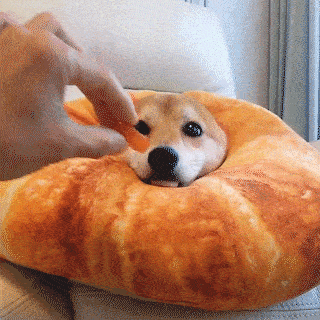 ちょっとだけクスッとしたい【画像】