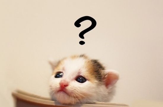 【料理】これどうしてる？