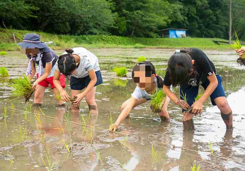 すみれ ショートパンツに大胆デコルテ露出…“セクシーすぎる”田植え投稿に「農業にファッションは必要?」一部では違和感も