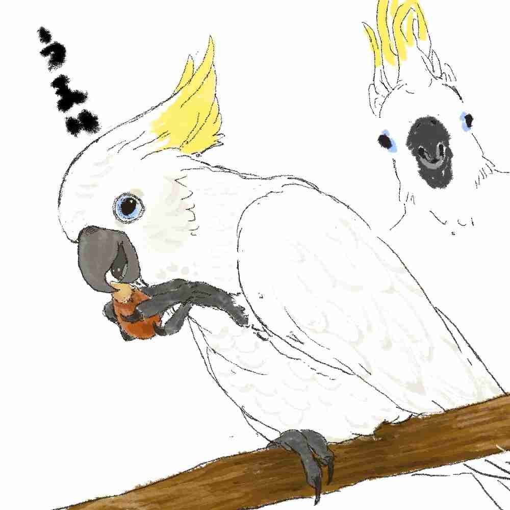 【転載禁止】お絵描きしませんか【AI禁止】